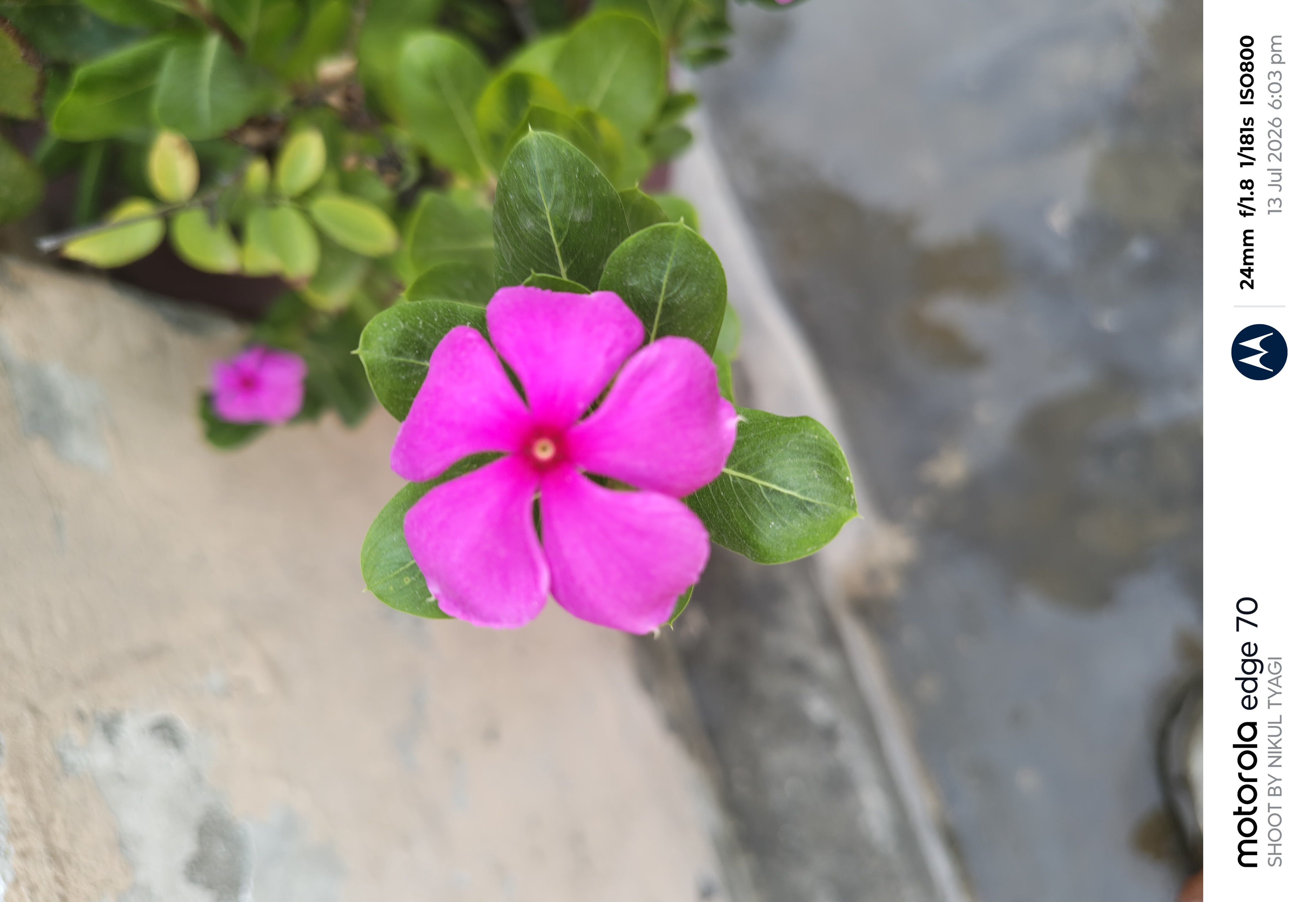 Images